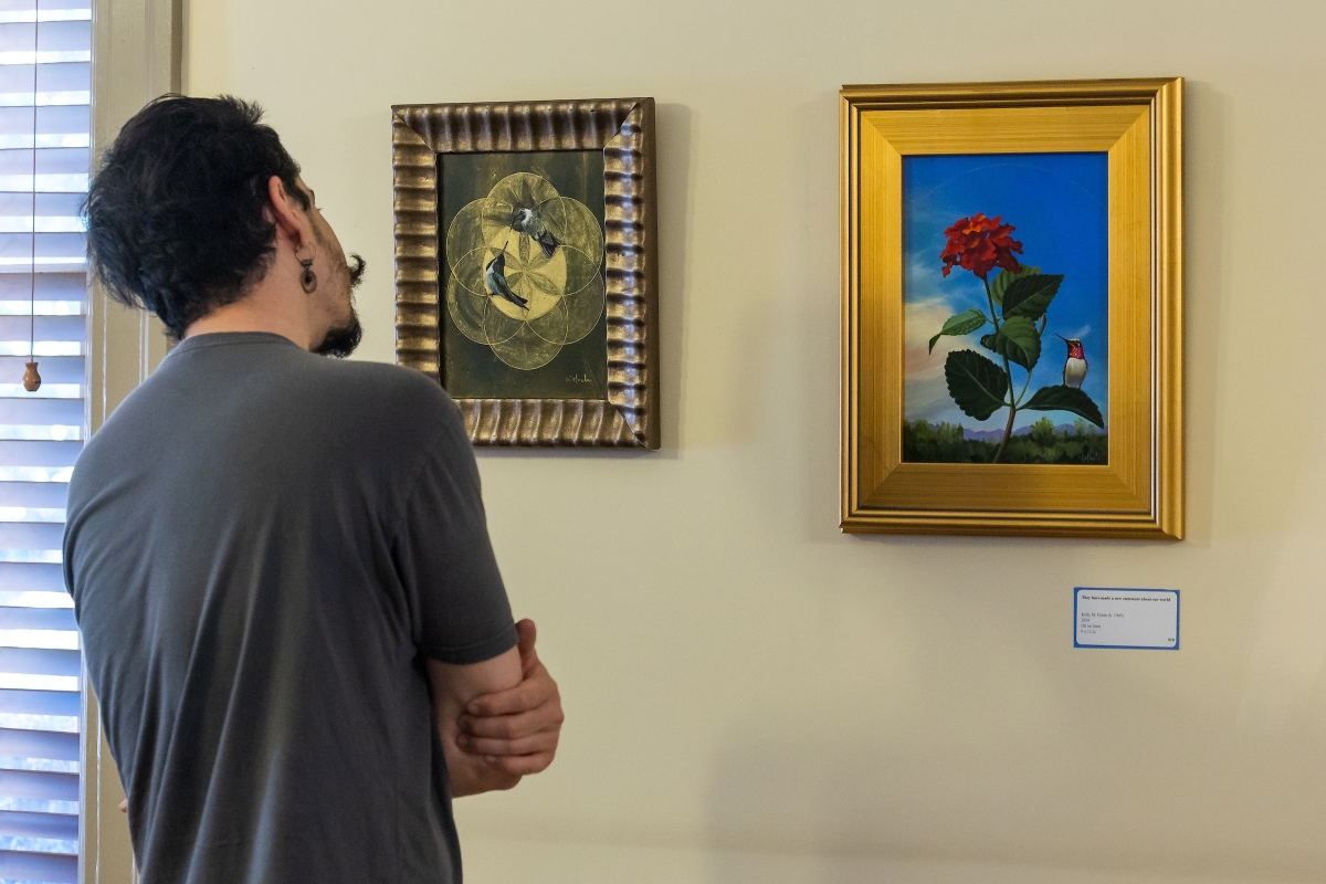A man examines two paintings of hummingbirds