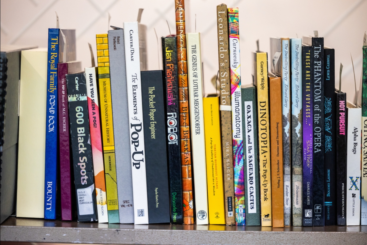 A view of the the spines of books and their titles sitting on a shelf