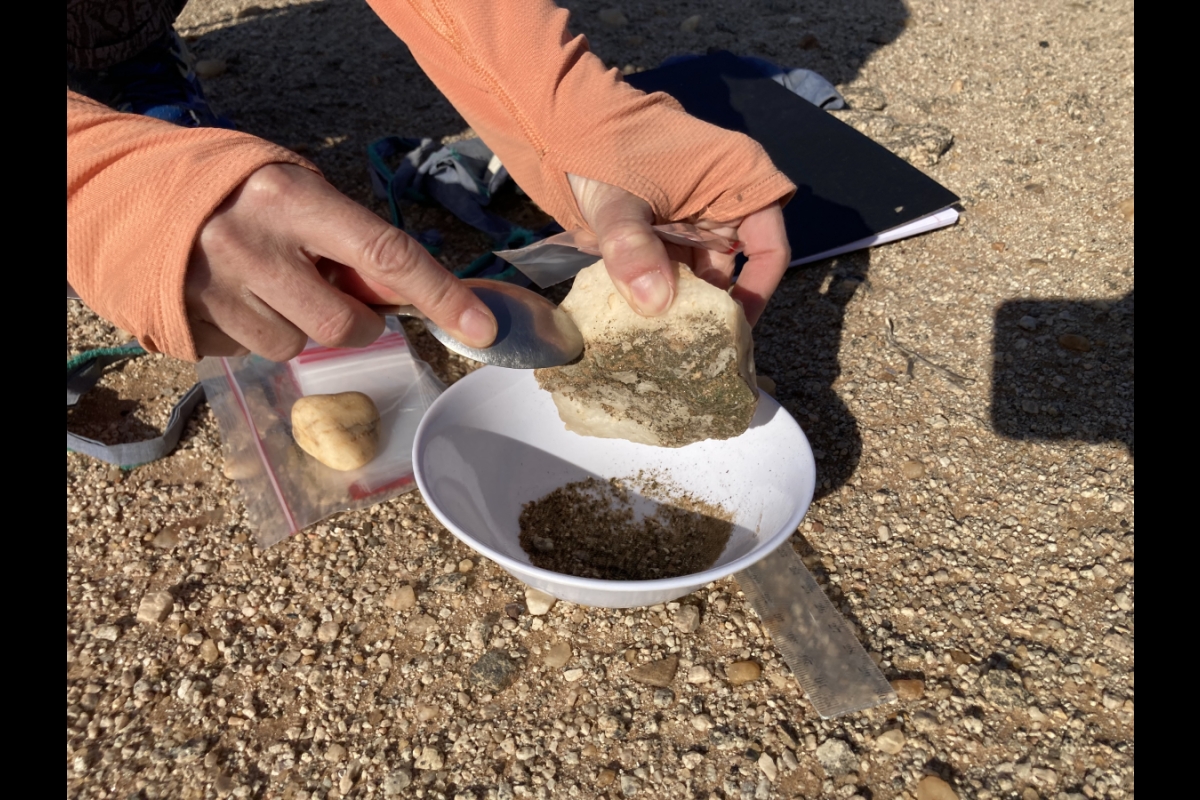 Scraping a hypolithic community off a quartz rock to measure carbon.