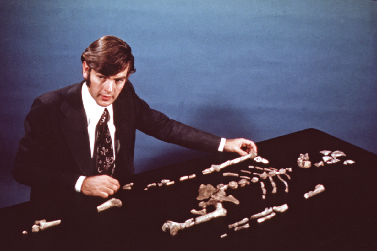 1970s photo of man in suit and tie laying out hominin bones on a black table