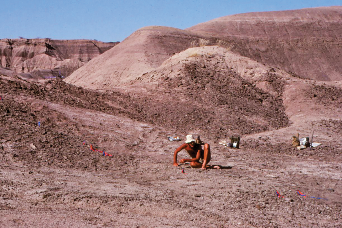 Person digging through desert hills