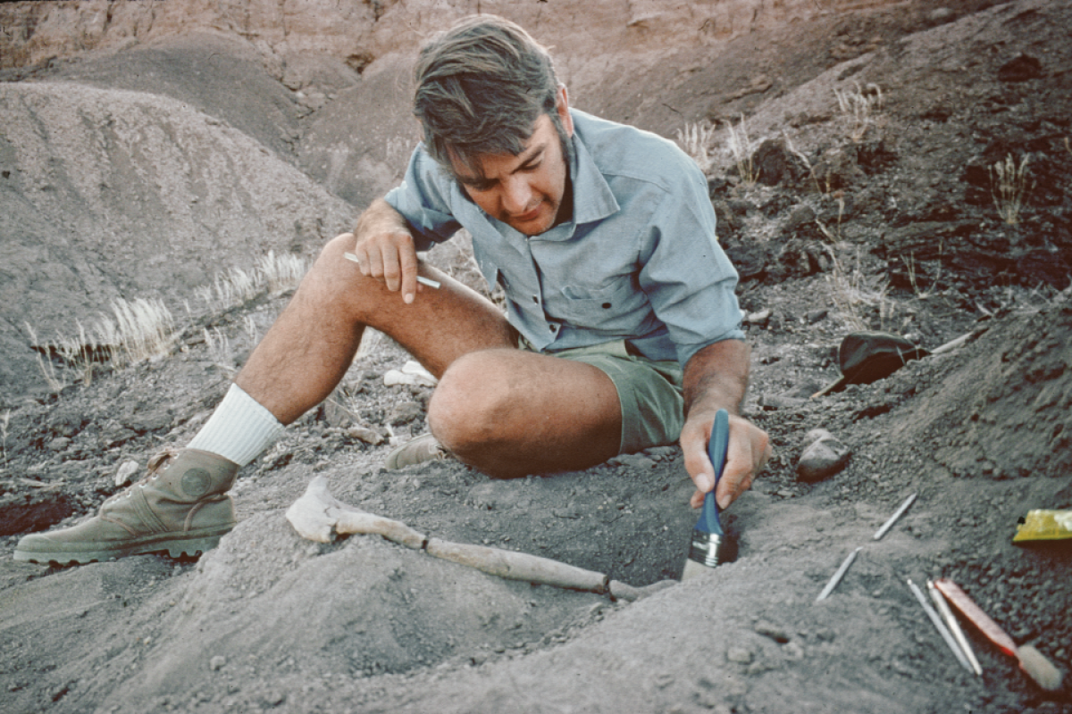 Man sitting on dig site looking for bones