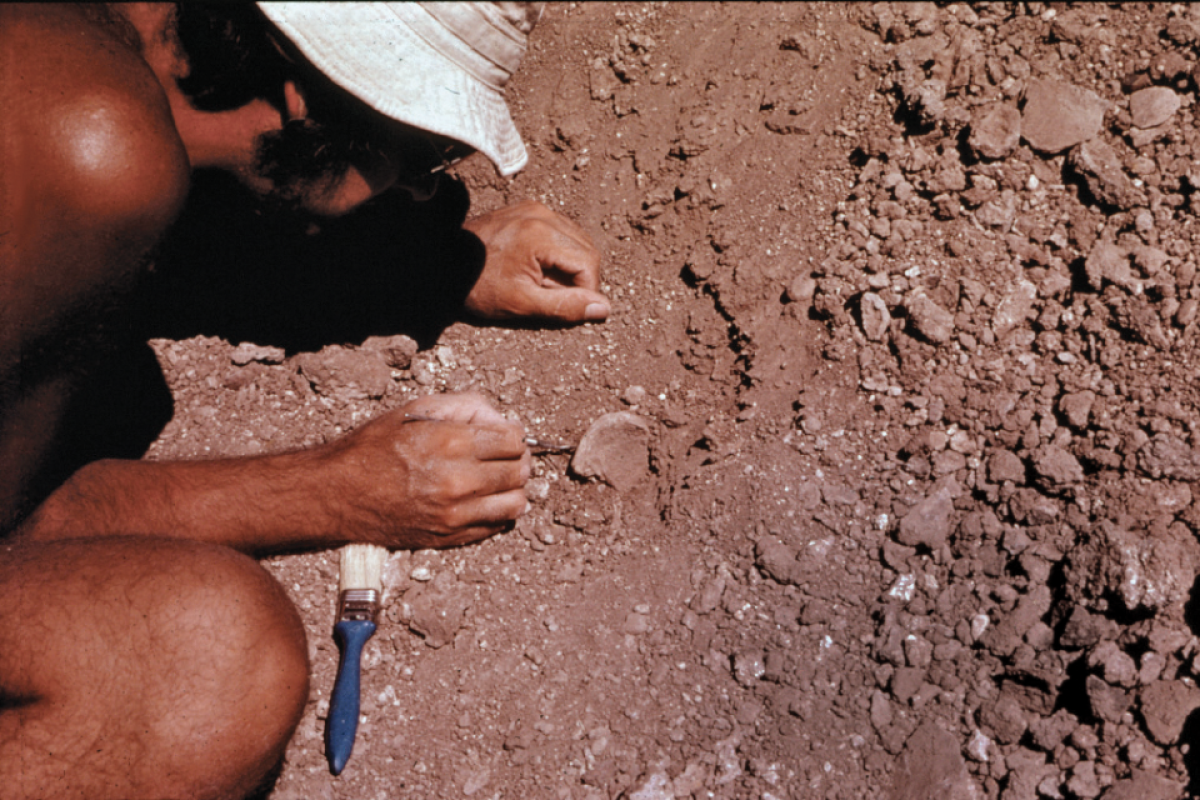 Man carefully excavating pelvis bone from ground