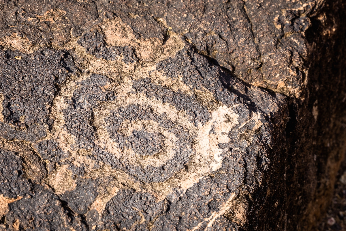 Close-up of a petroglyph on a rock that resembles a spiral