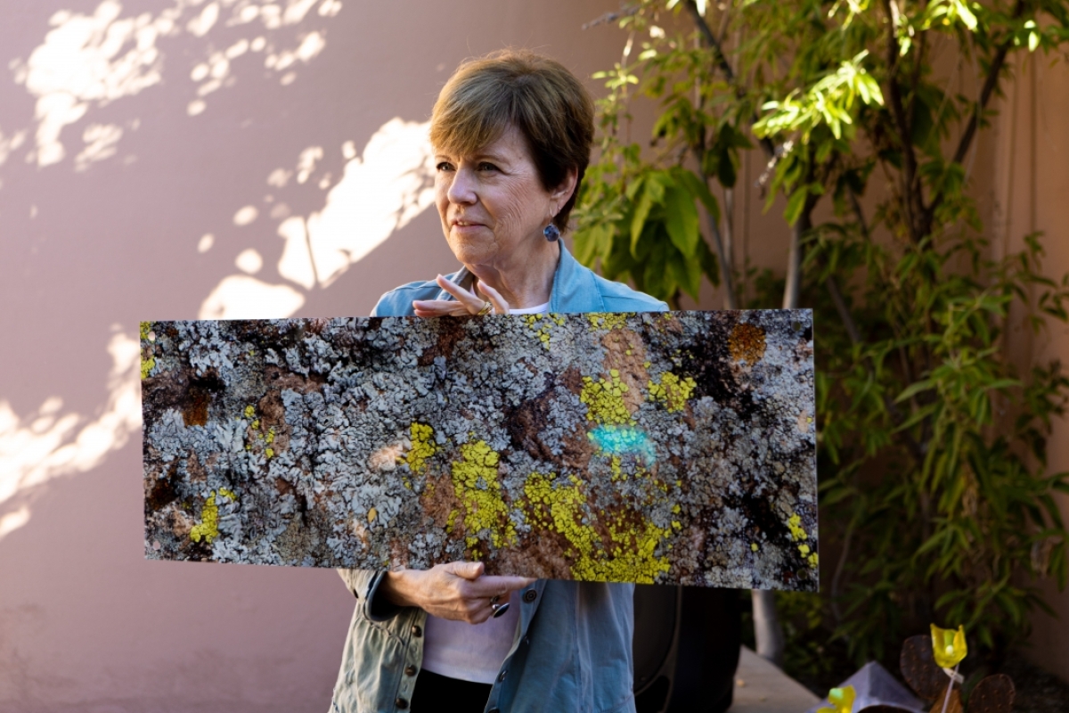 Arboretum executive director shares a photo of lichen research.
