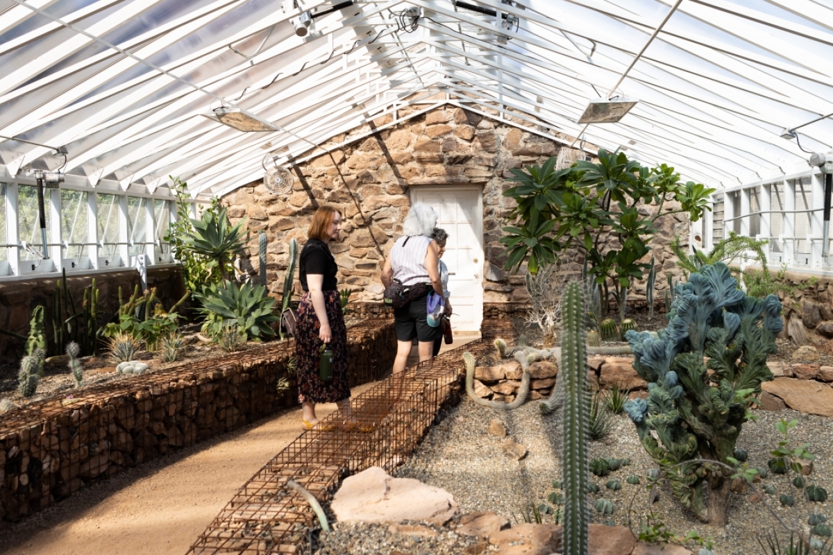 ASU students and guests explore the arboretum greenhouse.