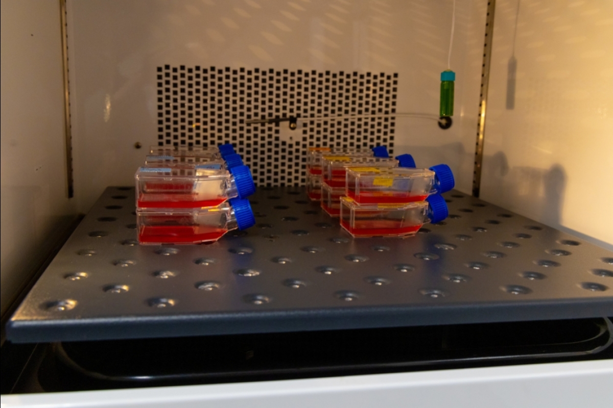 Samples stored in a laboratory