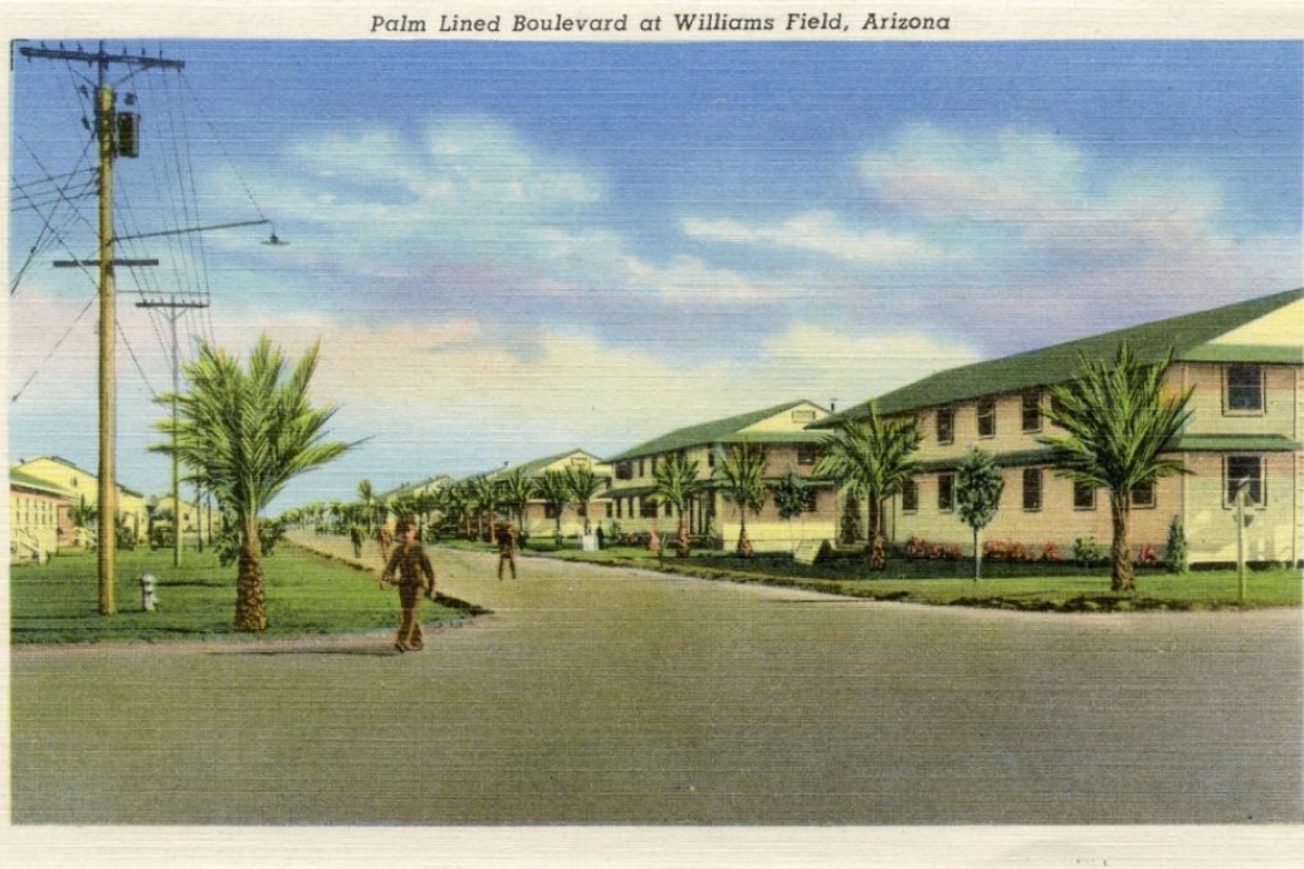 promotional picture of residential housing at Williams