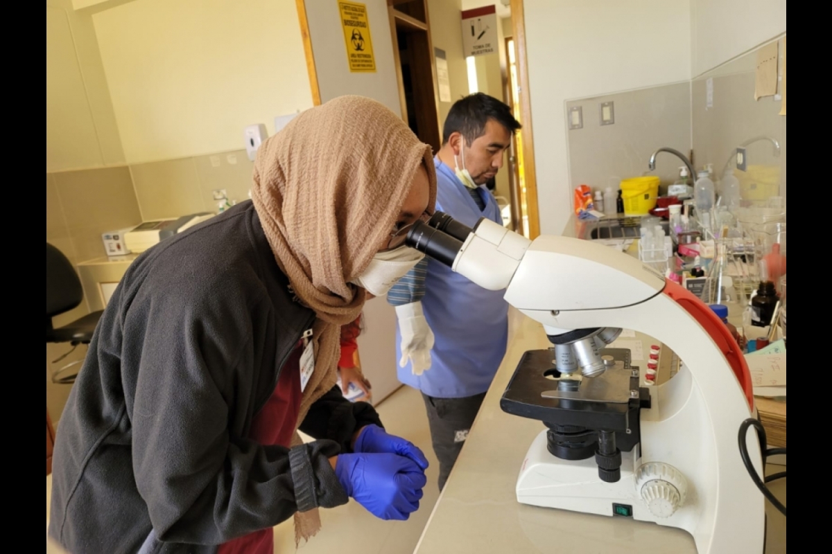 Edson College nursing student looks through a microscope. She's wearing a beige head scarf and blue surgical gloves. The clinic doctor can be seen in the background wearing a blue scrub top