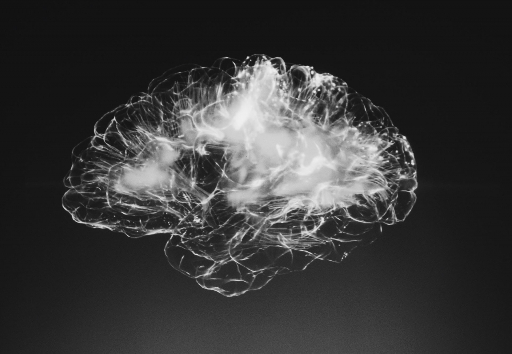 Black and white image of the brain