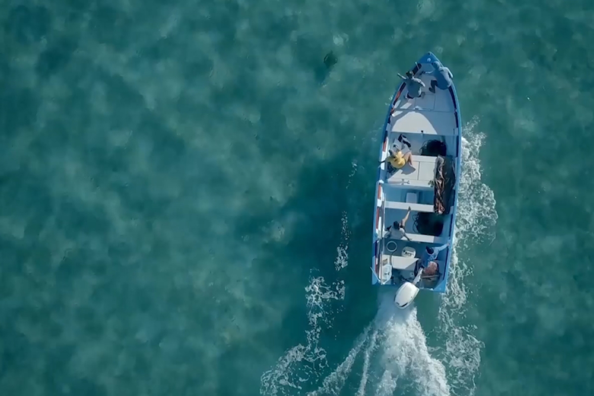 An aerial photo of a boat on the ocean tracking turtles