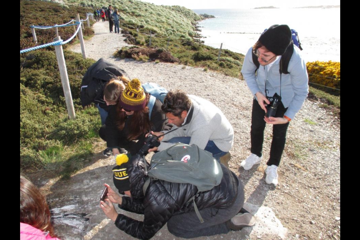 Group of ASU students penguin watching on the Falkland Islands
