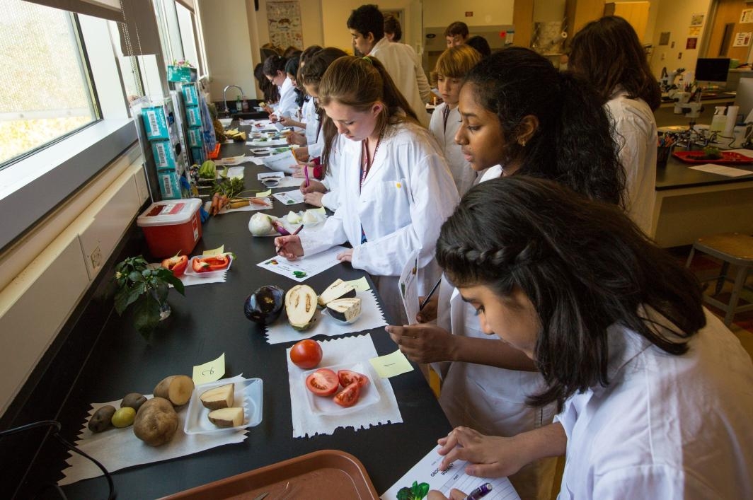 Students do a grocery-store botany exercise at the Barrett Summer Scholars program