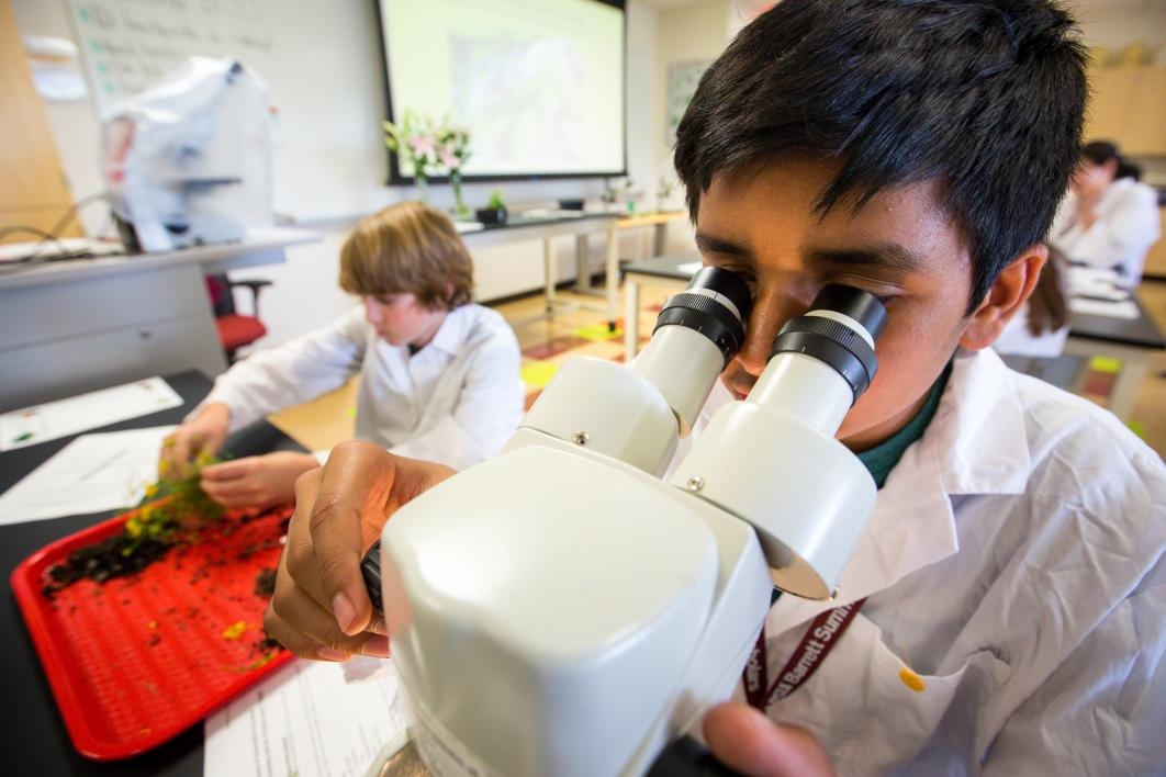 Young students use microscopes at the Barrett Summer Scholars program