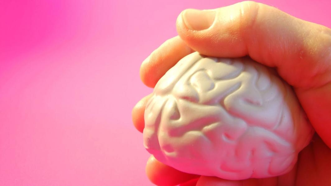 A hand holds a toy brain