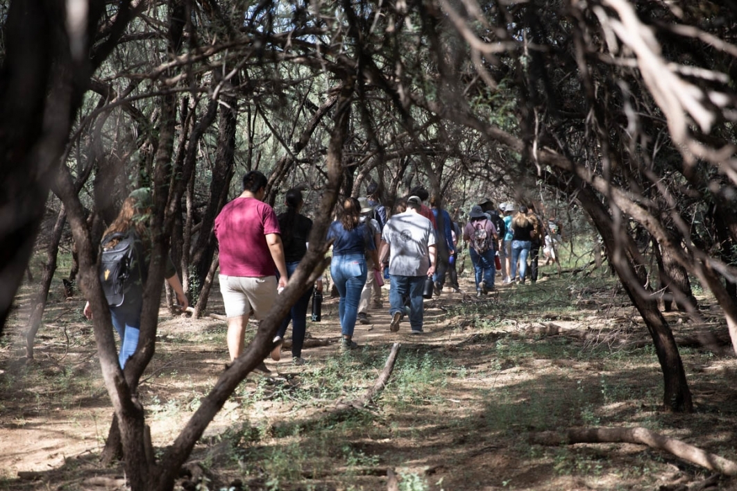 Students walking through wooded area
