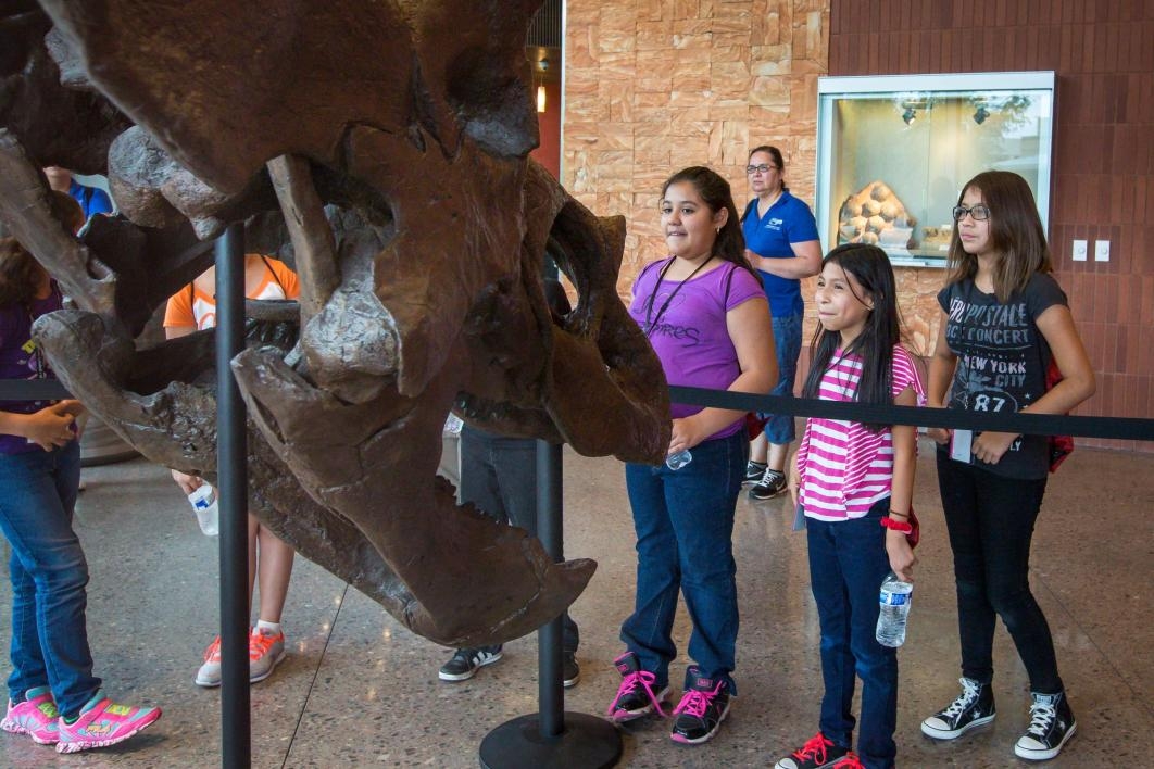 Students with the Conexiones program look at a T. rex skull at ASU