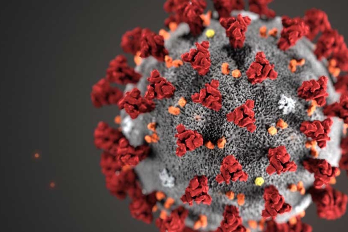 Closeup of the coronavirus