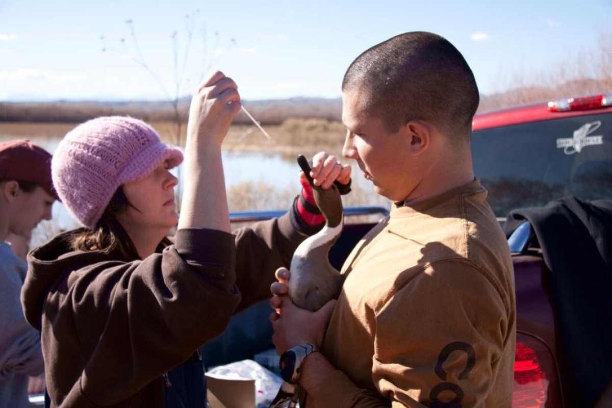 man and woman holding a duck, feeding it with dropper