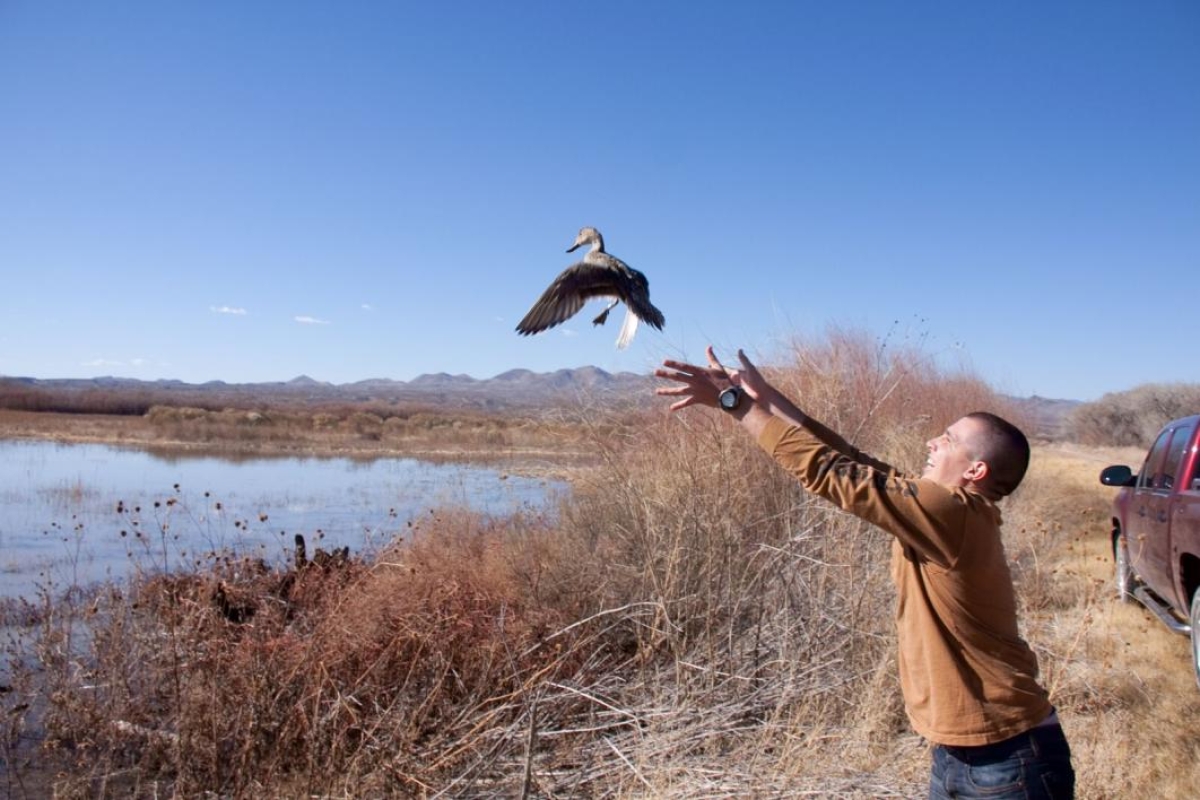 man releasing duck into the air