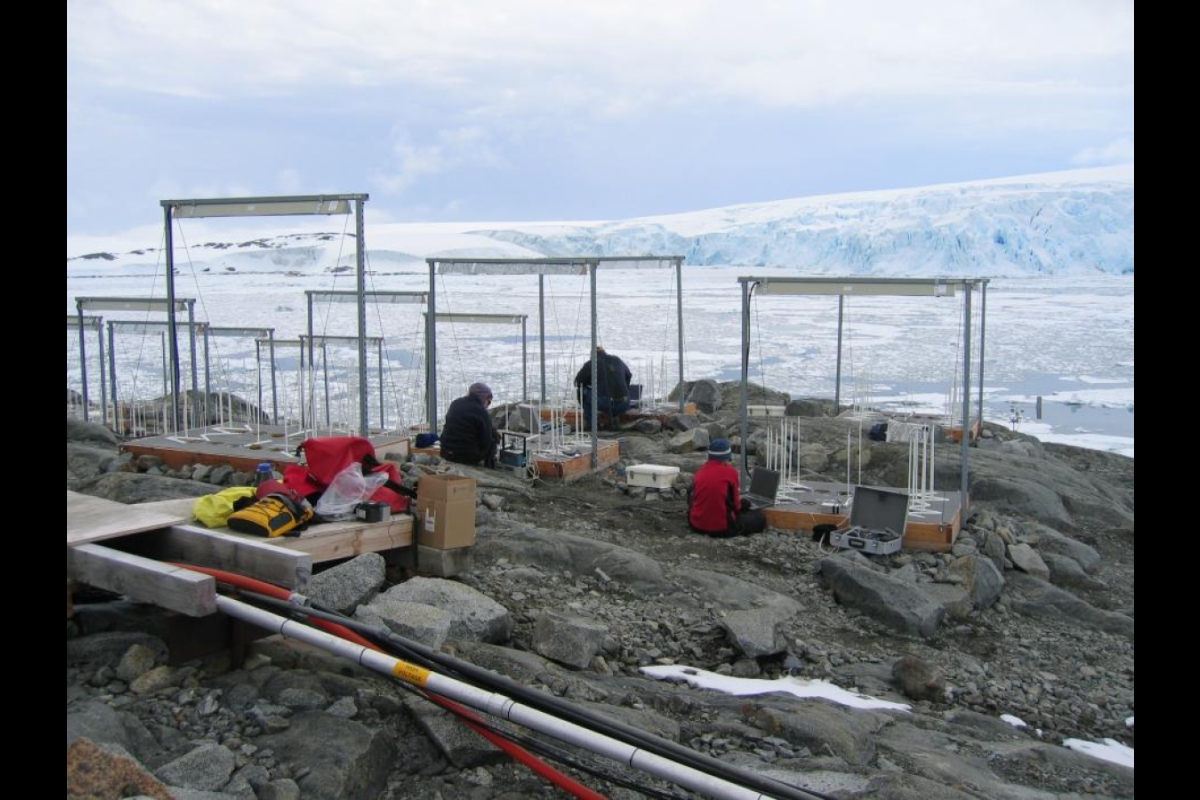 measuring how heat influences photosynthesis in Antarctic plants