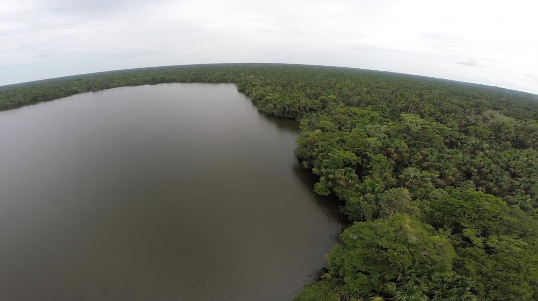 Amazon peatlands