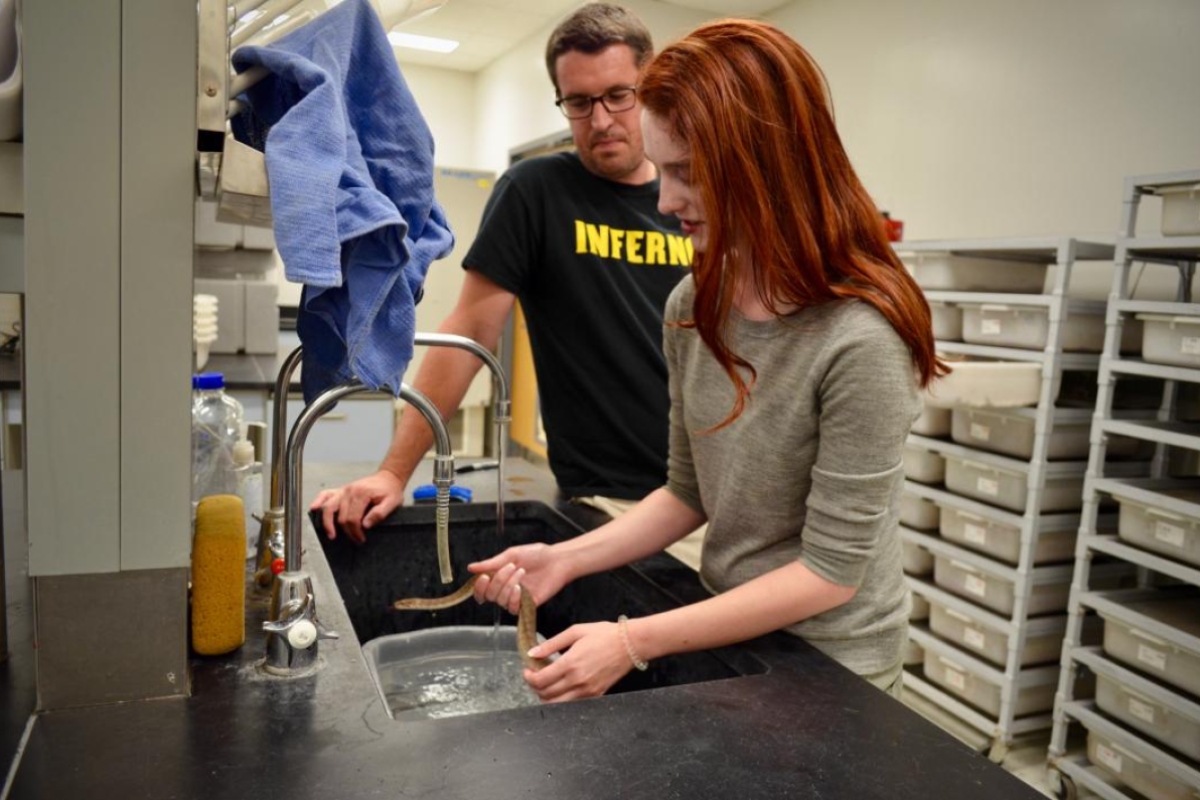 Student researchers give a Childrens python a bath.