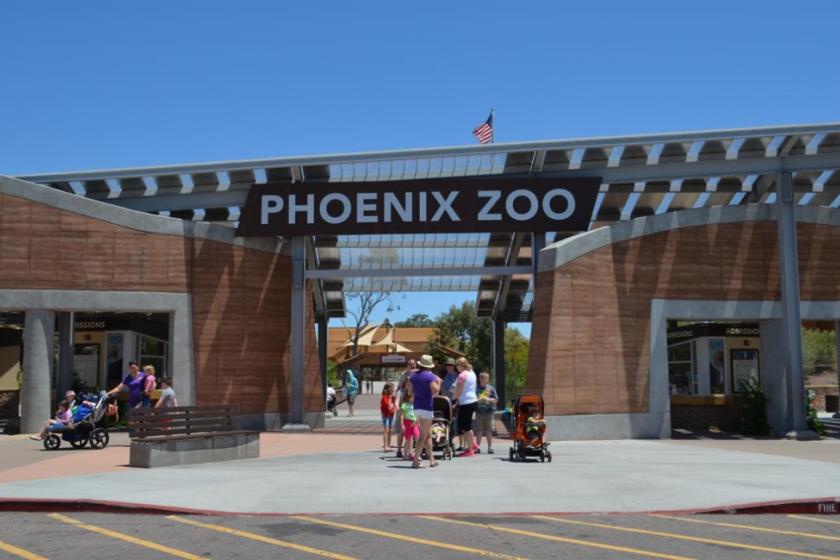 phoenix zoo internship