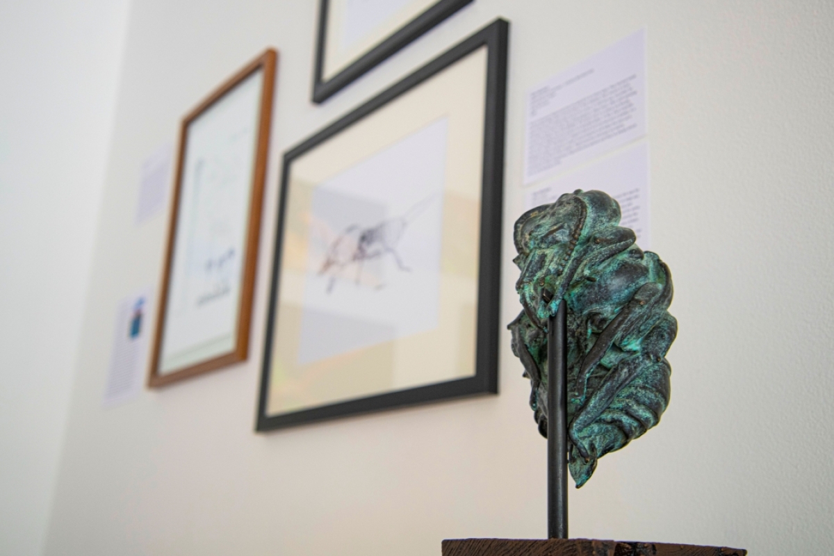 Bronze bee pupae sculpture and framed artworks.