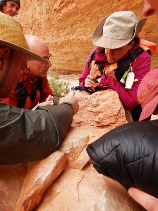 ASU geologists Chris Campisano (left forward) and Ramon Arrowsmith (left back) find a small marine fossil in rock at Redwall Cavern along the Colorado River.