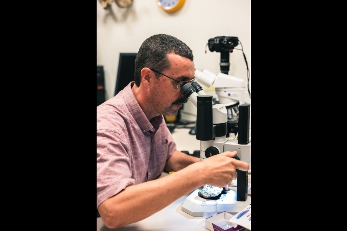 Frank Bungartz examines lichen