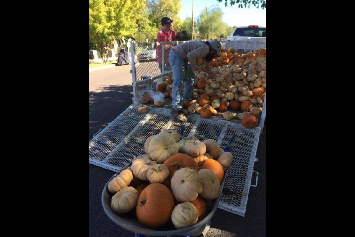 Pumpkins fill an open-air trailer.