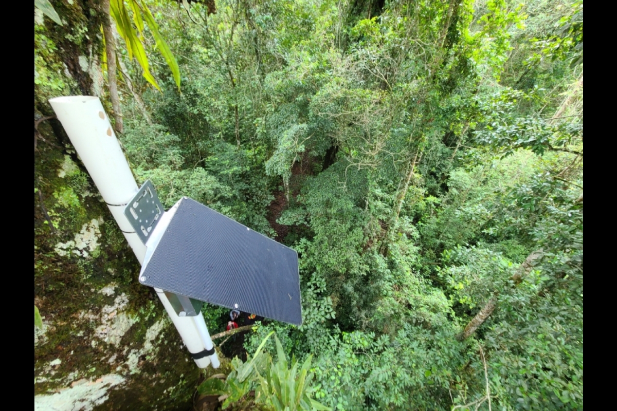 A solar-powered gunshot detector amid the trees of the Costa Rican forest.