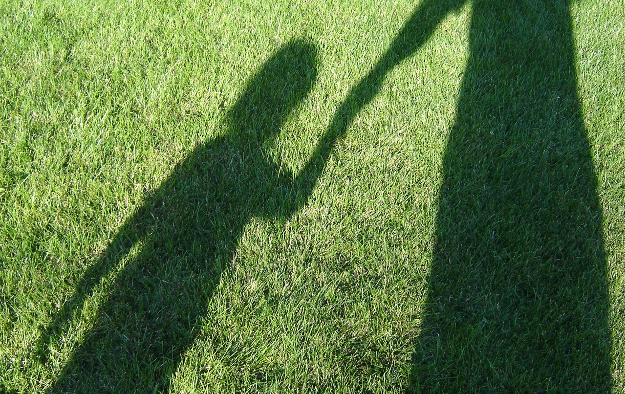 Shadows stalking some grass.