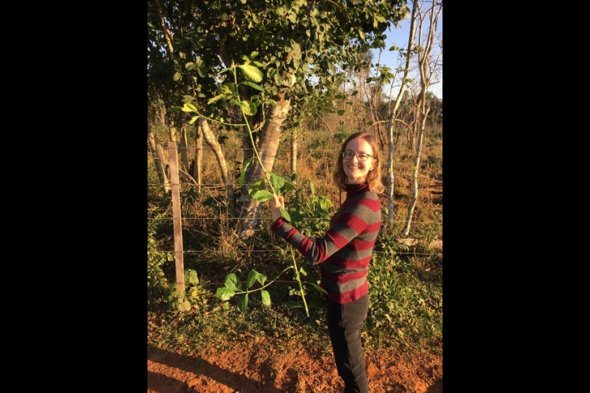 Julia Sarreal poses with a branch from a yerba mate tree in Santa Rosa Cué Paraguay.