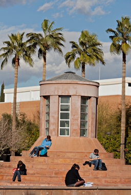 students studying on lawn 