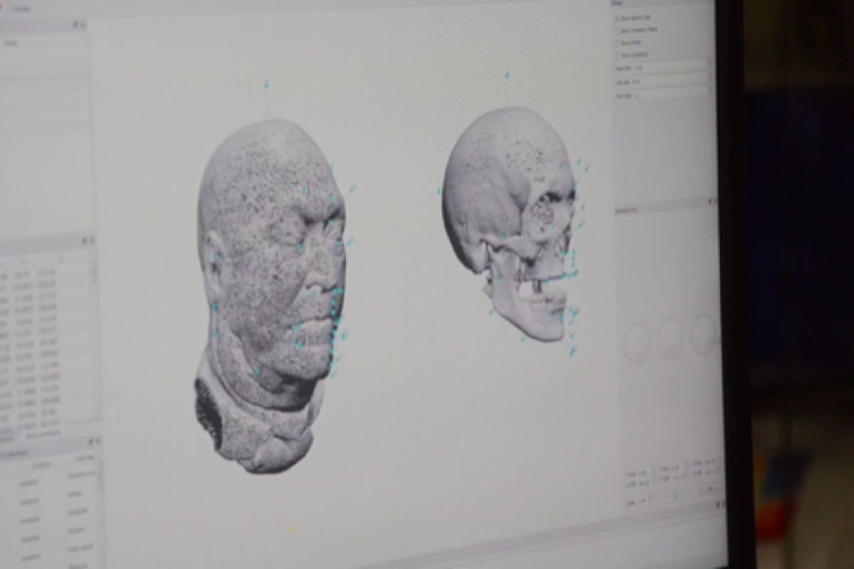 3-D models of head and skull on computer