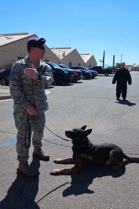 Military Working Dog Rango