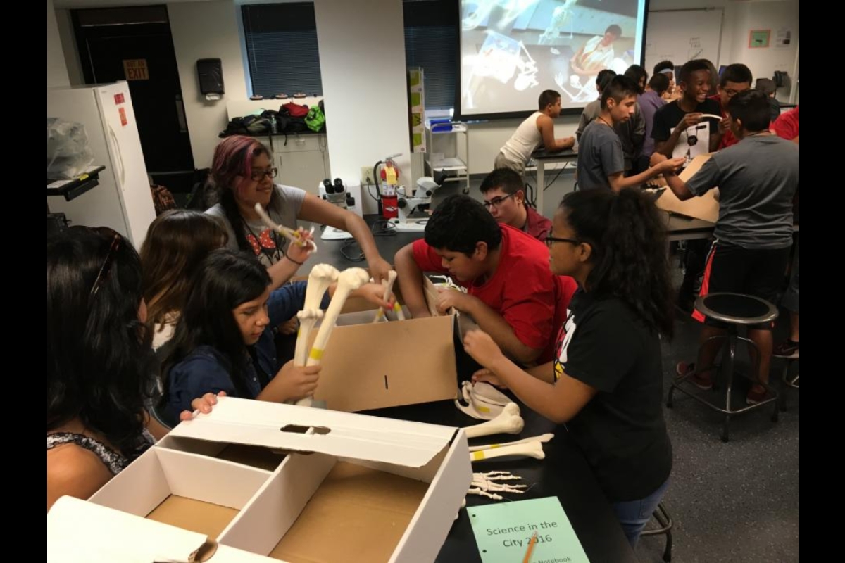 Science in the City students excitedly unpack the boxes of bones