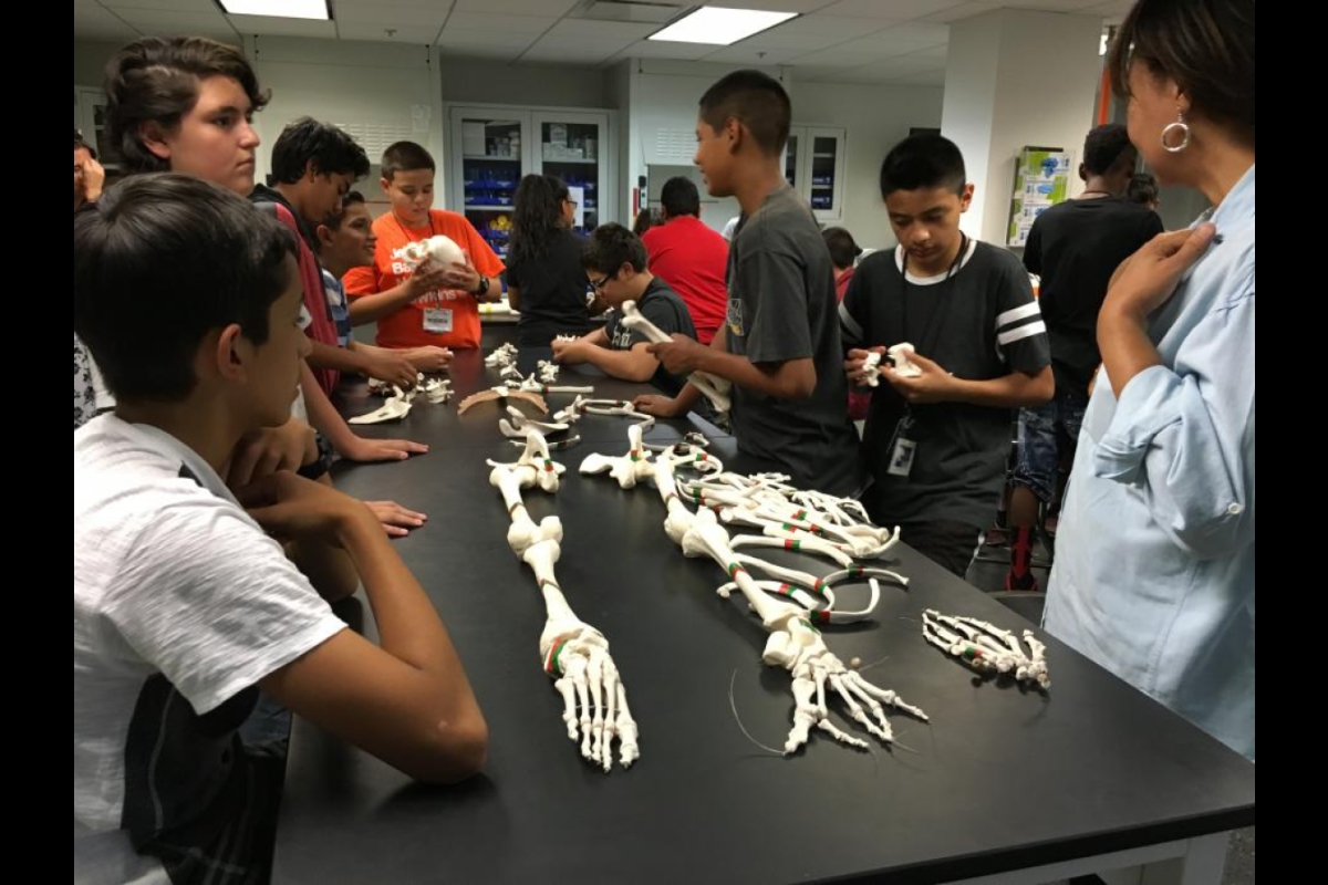 Science in the City students use their own bodies to help determine placement of bones
