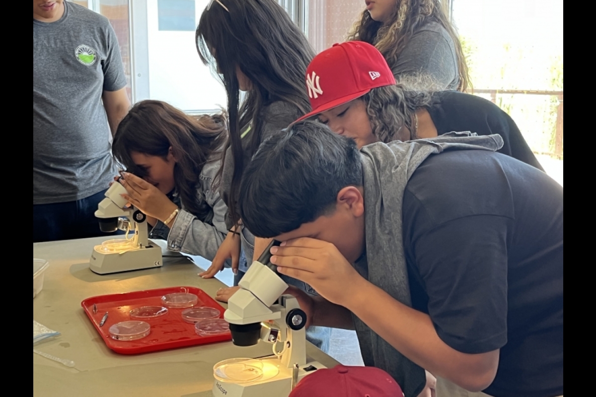 Using microscopes at the Audubon society to observe organisms that live in the pond