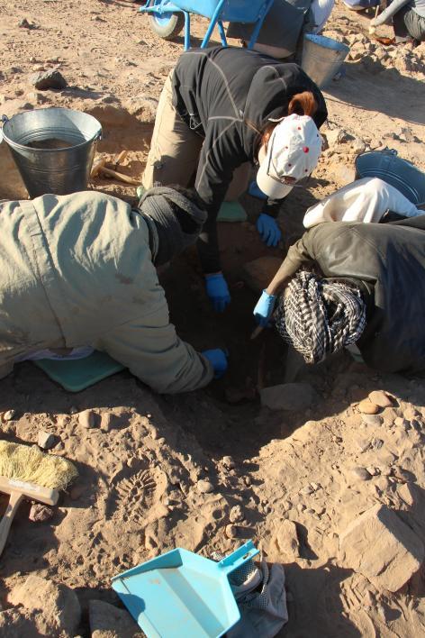 photo of Baker's team excavating a burial