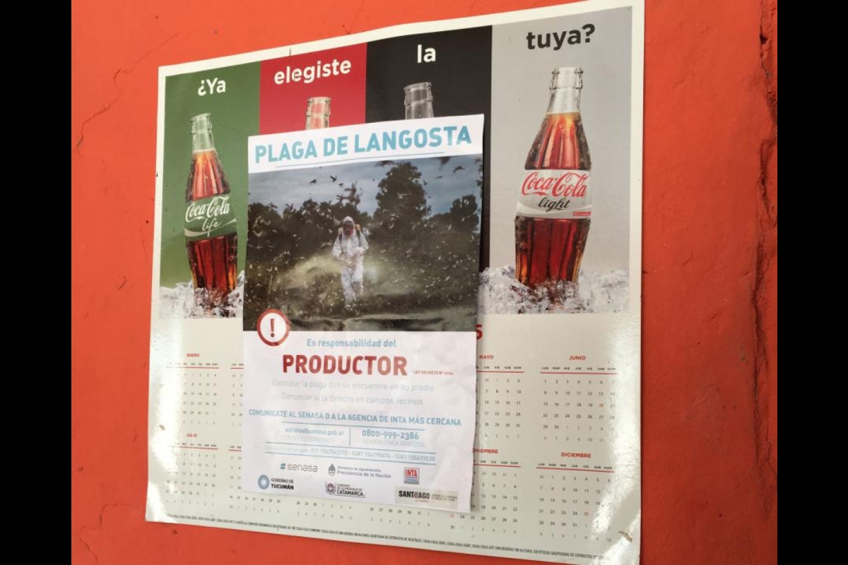 A poster about the locust outbreak hangs in an Argentina restaurant
