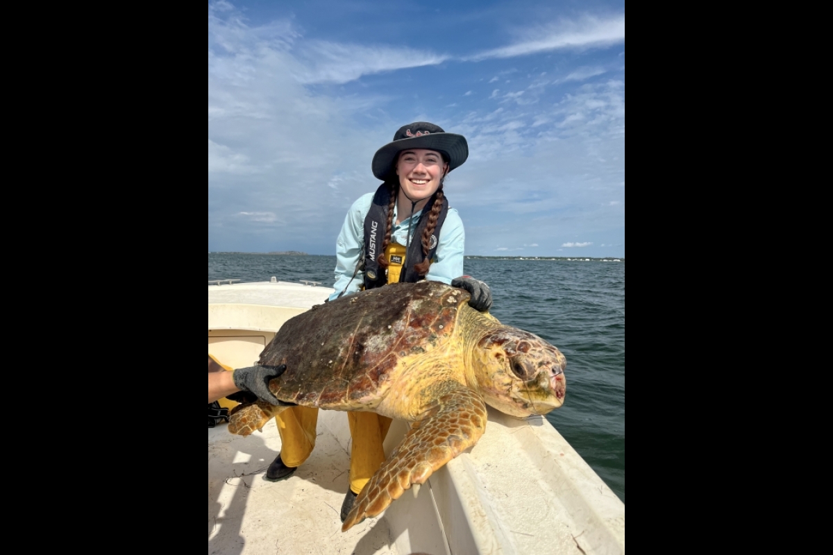 Kayla Burgher, an ASU doctoral student, holding a turtle on a boat.