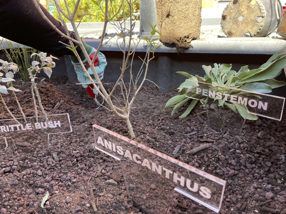 Close up image of acrylic labels and garden installation in progress.