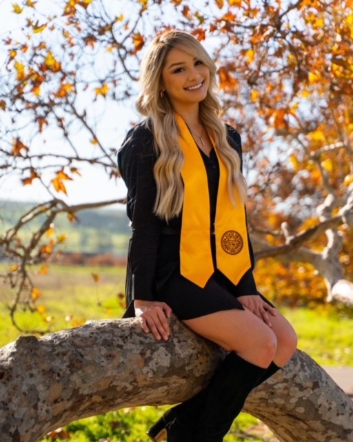 woman wearing cap and gown sitting in a tree