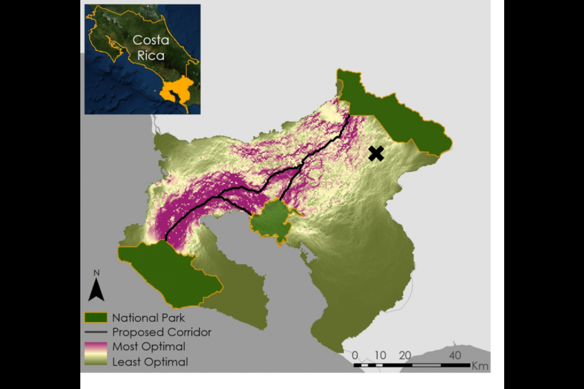 Map of Costa Rica where ASU Professor Jan Schipper is working to protect the country's jaguars