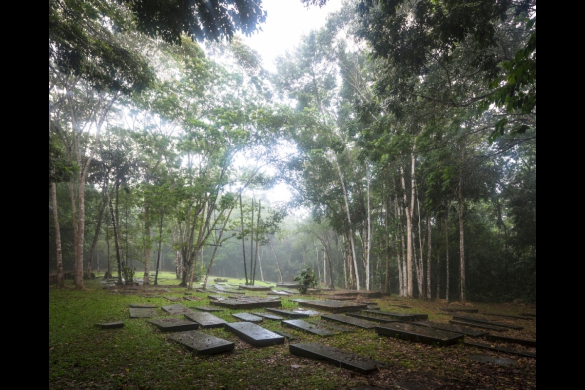 Jewish cemetery in a Caribbean jungle