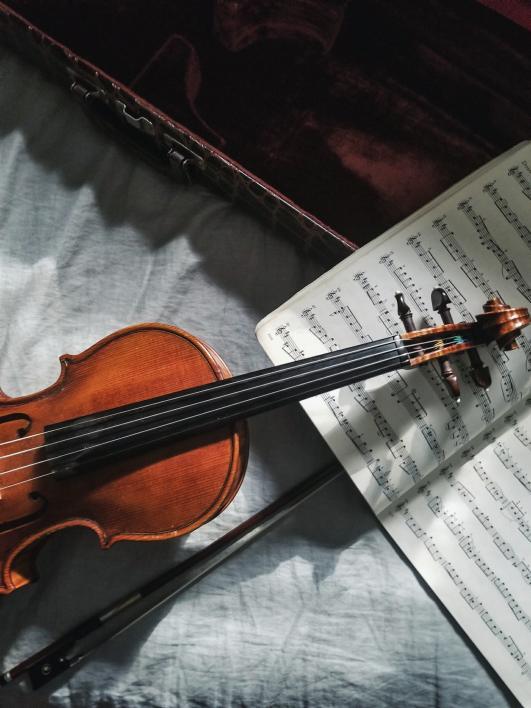 Violin and music