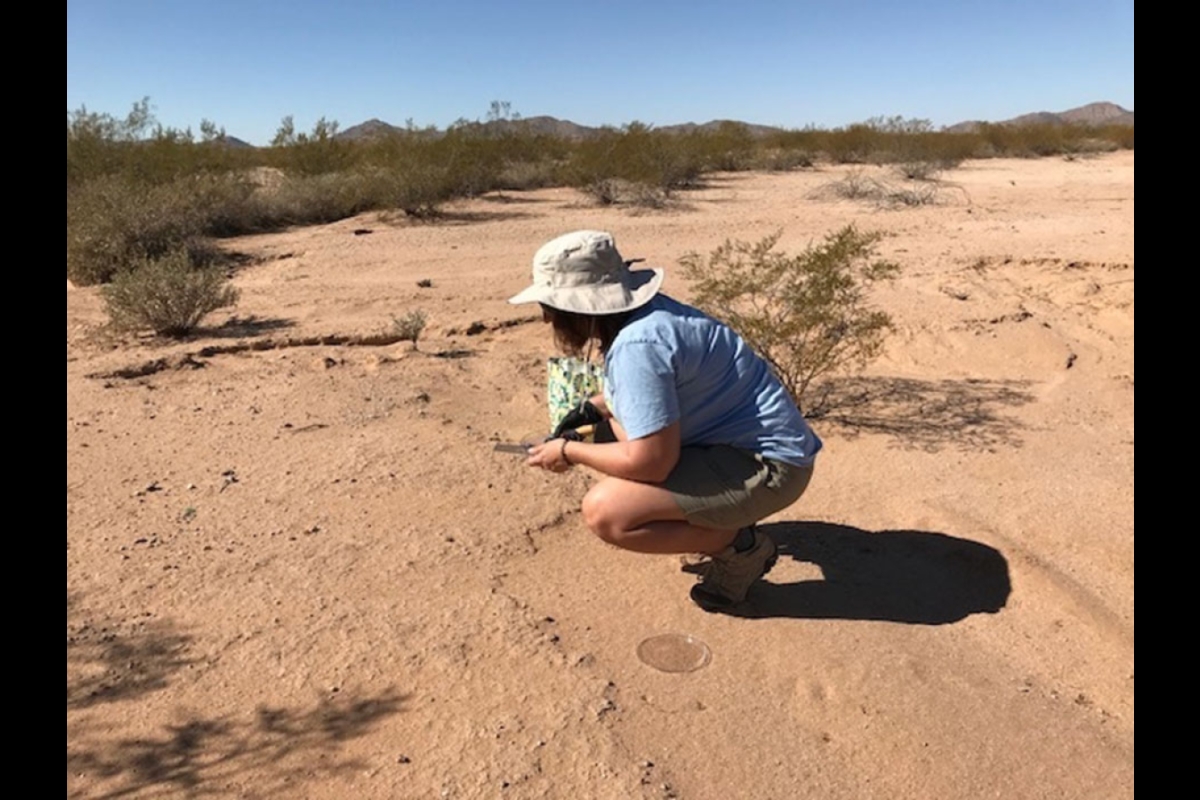 Researcher working in desert